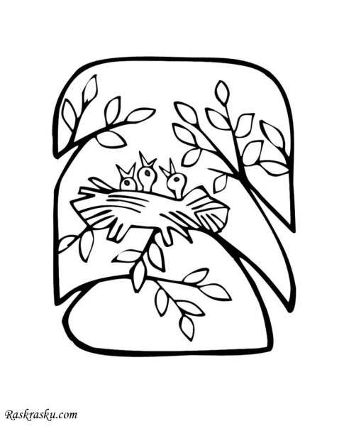 Раскраска. Весна