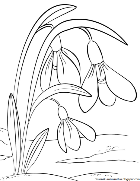 Весенние раскраски