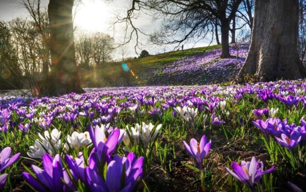 Конец зимы начало весны