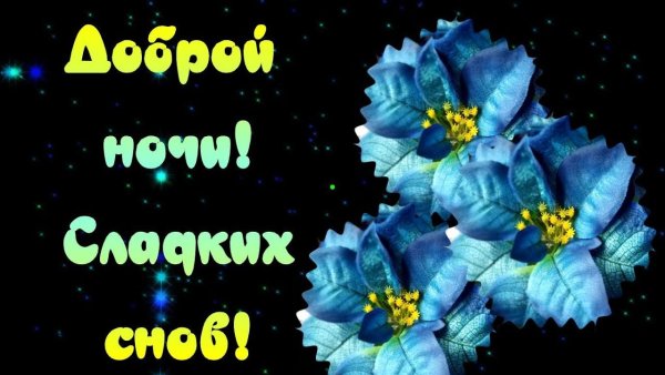 Спокойной ночи сладких снов цветы