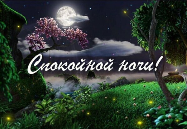 Доброй летней ночи