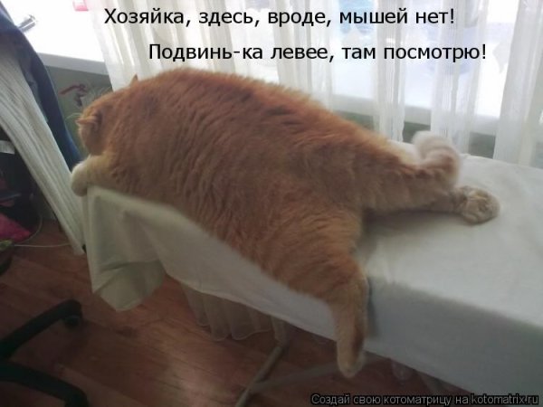 Где Весна