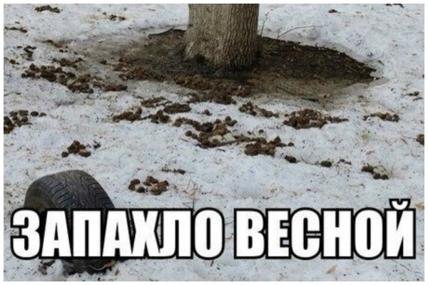 Весна Проснись зима наглеет