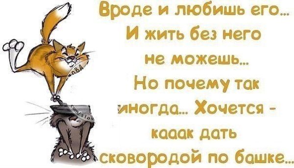 Шутки про снежную весну