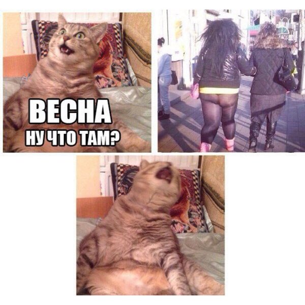 Винни пух и Пятачок мультфильм