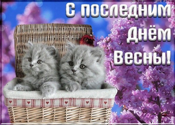 Открытки с последним днем весны