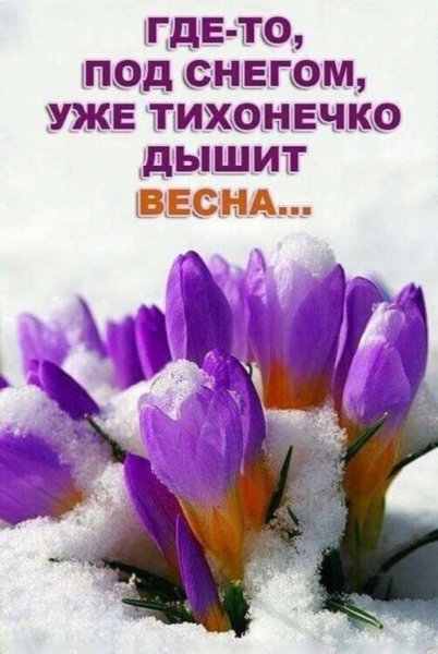 Уже февраль скоро Весна