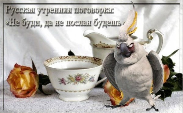 Добрые пожелания с добрым утром поднимающие настроение