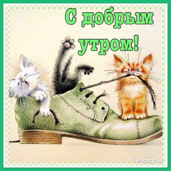 Открытки с добрым утром прикольные