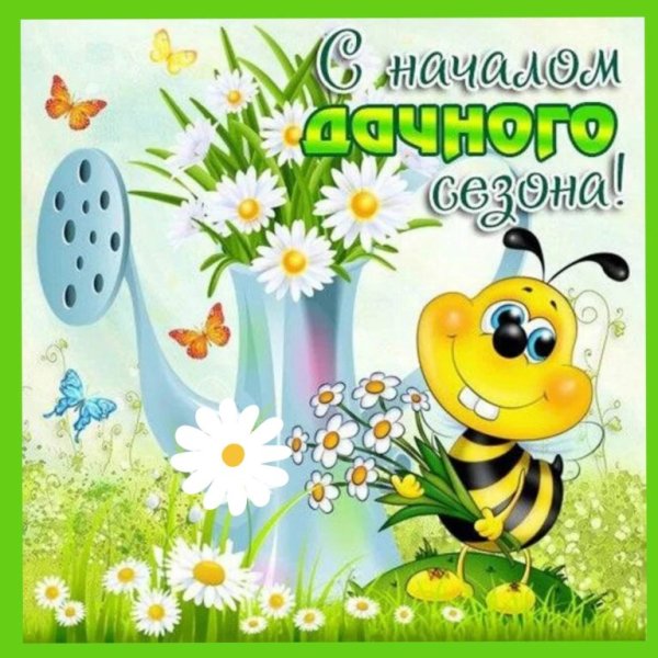 Медведь просыпается весной