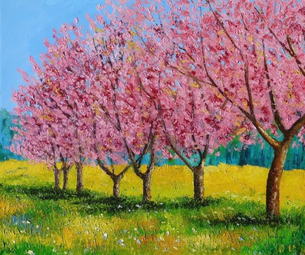 Цветущий Майский сад