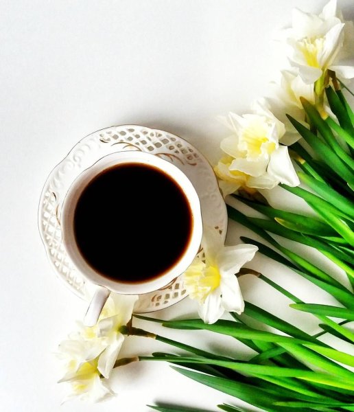 Доброе утро Весна кофе цветы