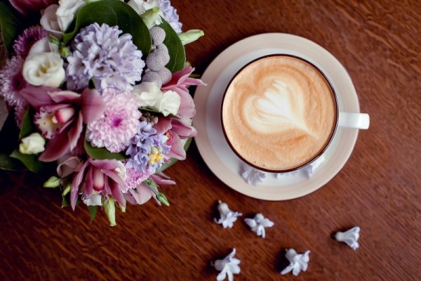 Завтрак с цветами