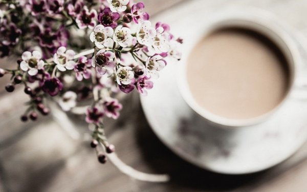 Кофе и цветы