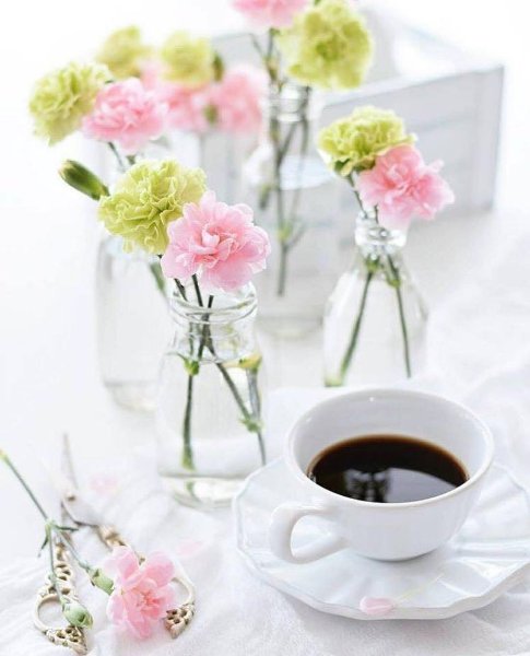 Тюльпаны в чашке