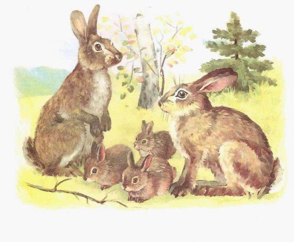 Зайчата весной