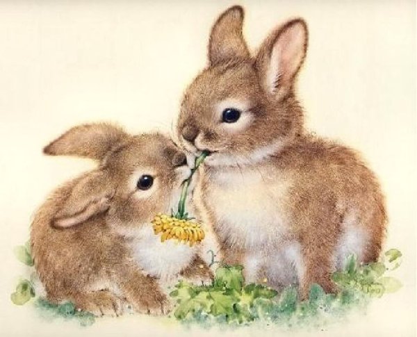 Зайчиха с зайчонком