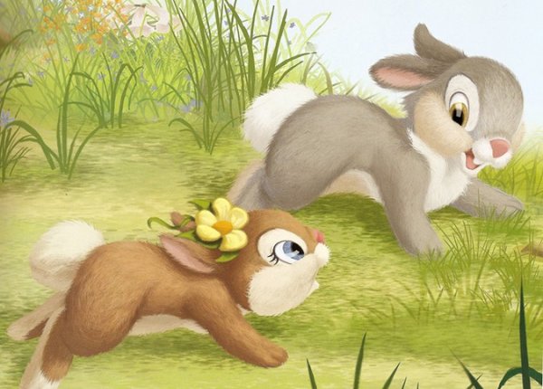 Заяц Русак потомство