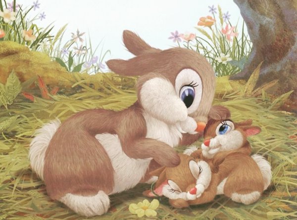 Заяц Русак Детеныши