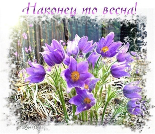 С весенним четвергом