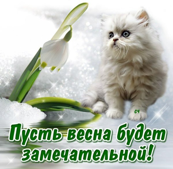 Доброе утро с первым днем весны