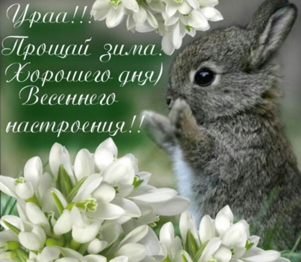 Доброе у РО С Подснежн ками