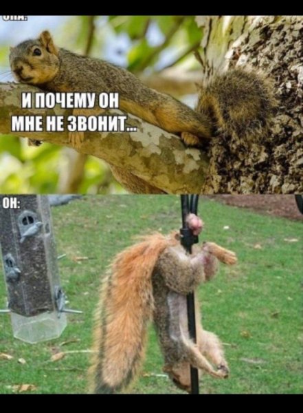 Убойные приколы