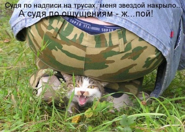 Юмор в картинках и фотографиях с надписями