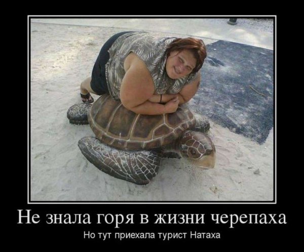 Демотиваторы юмор