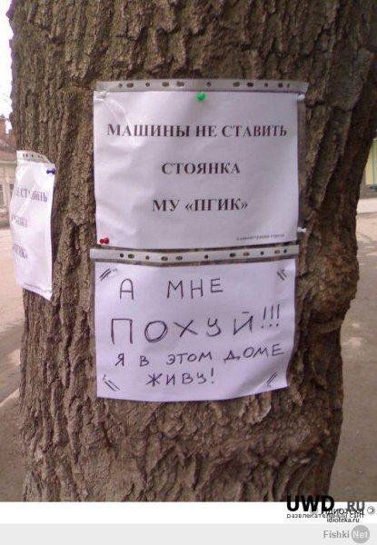 Весенние приколы в картинках с надписями поржать