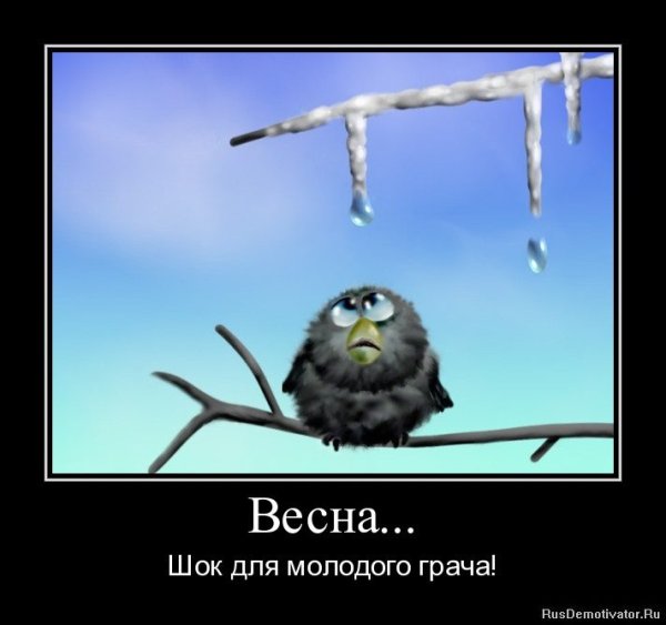 С первым днем весны смешные