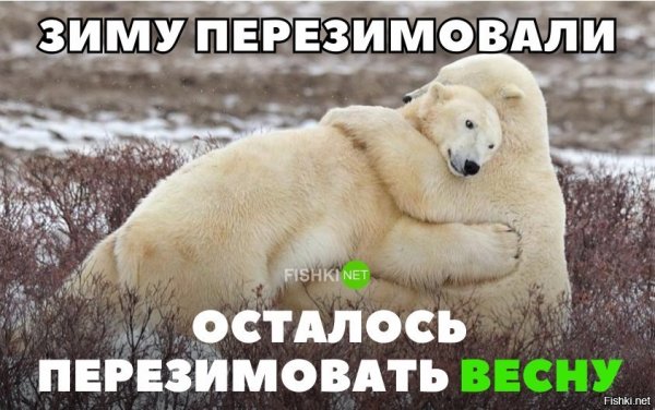 Зиму перезимовали осталось перезимовать весну