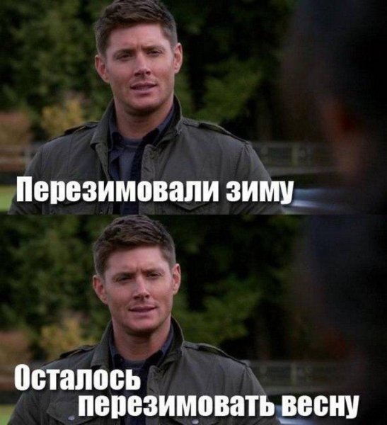 Мемы про Весту