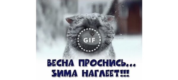 Весна ты где