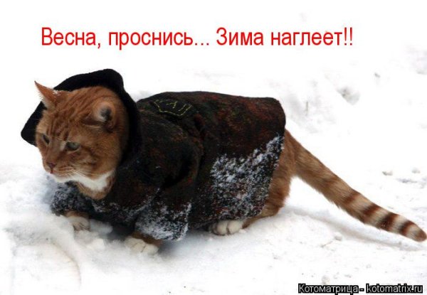 Открытки Весна ты где