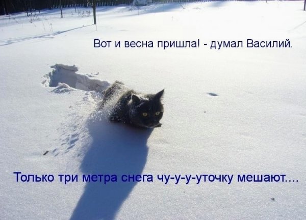 Думали что зима ушла по-английски не попрощавшись
