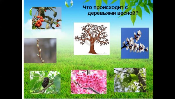Весенние явления в неживой природе