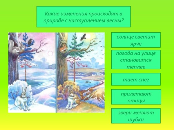 Пейзаж по временам года
