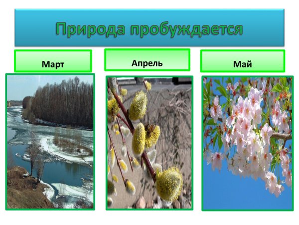 Приход весны детям