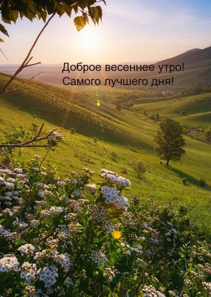 Суббота природа