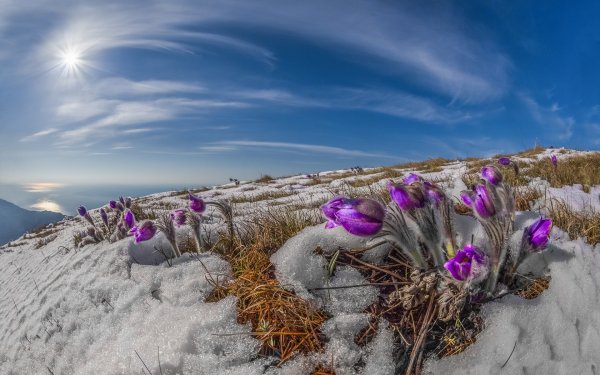 Картинки с добрым утром природа