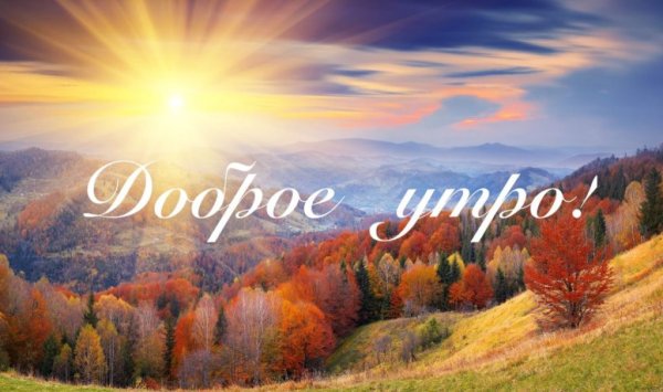 Стильные поздравления с добрым утром