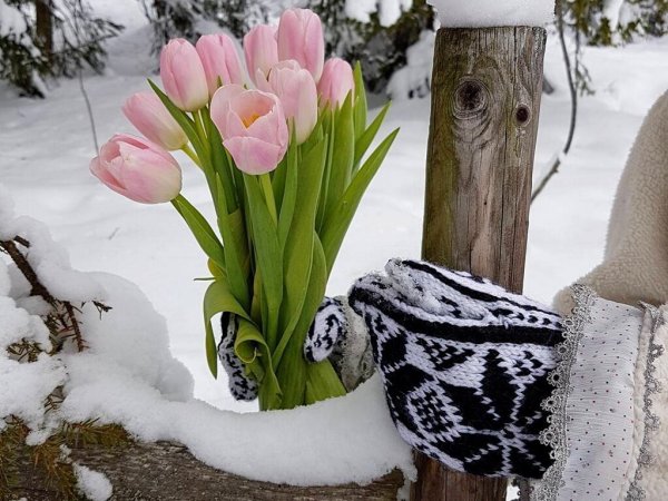 Пожелания с добрым утром природа лето