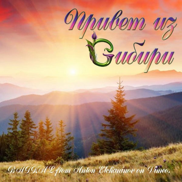 Доброе утро природа с надписью