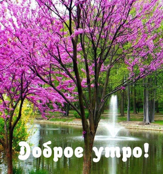 С добрым утром на фоне природы