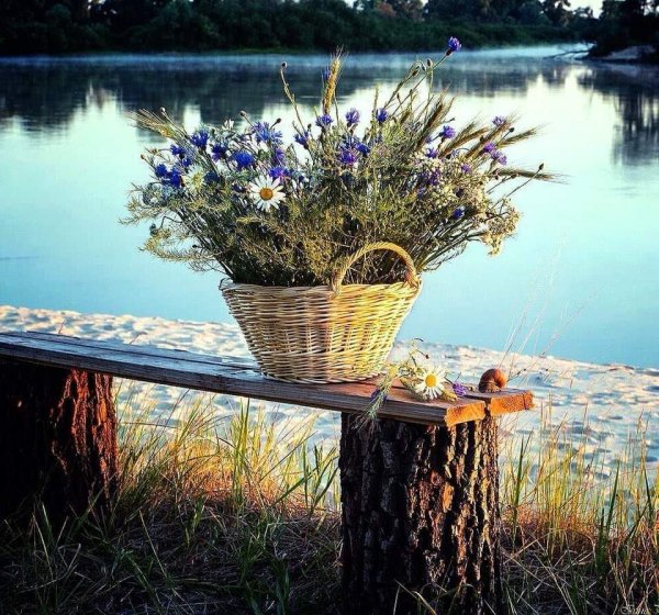 Летний день у реки