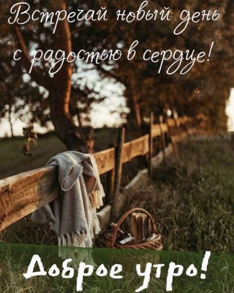 Утро доброе в окошко