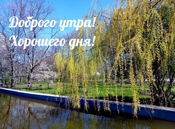 Доброе утро