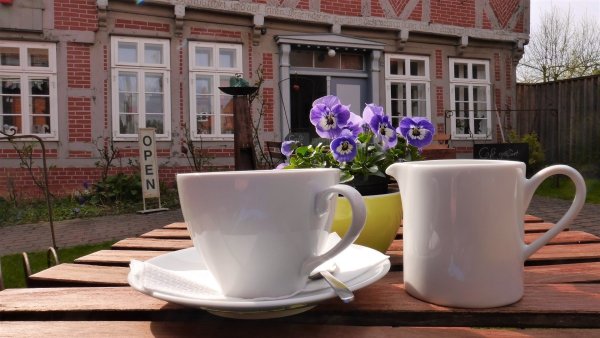 Утренние тюльпаны