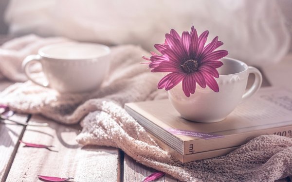 Кофе с лавандой